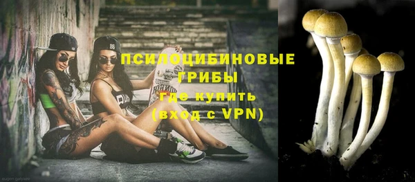 ПСИЛОЦИБИНОВЫЕ ГРИБЫ Зерноград