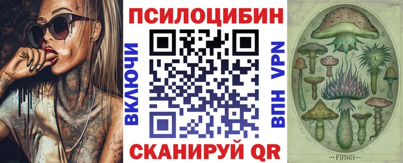 Псилоцибиновые грибы мицелий  Купить где  Нестеров 